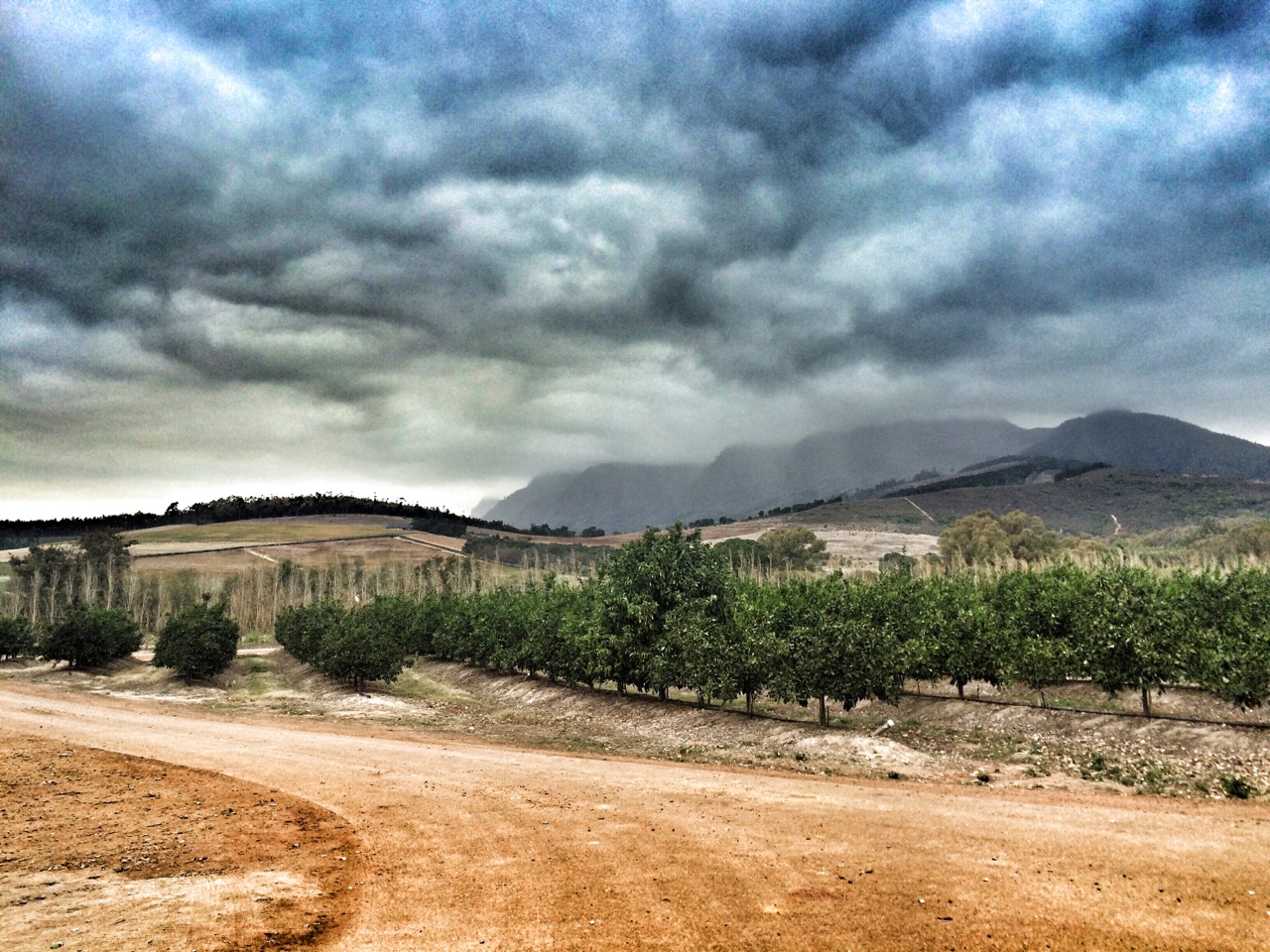 Saturday at Babylonstoren