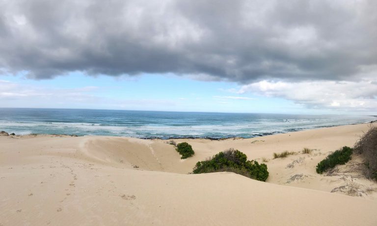 Paradise Perfected
