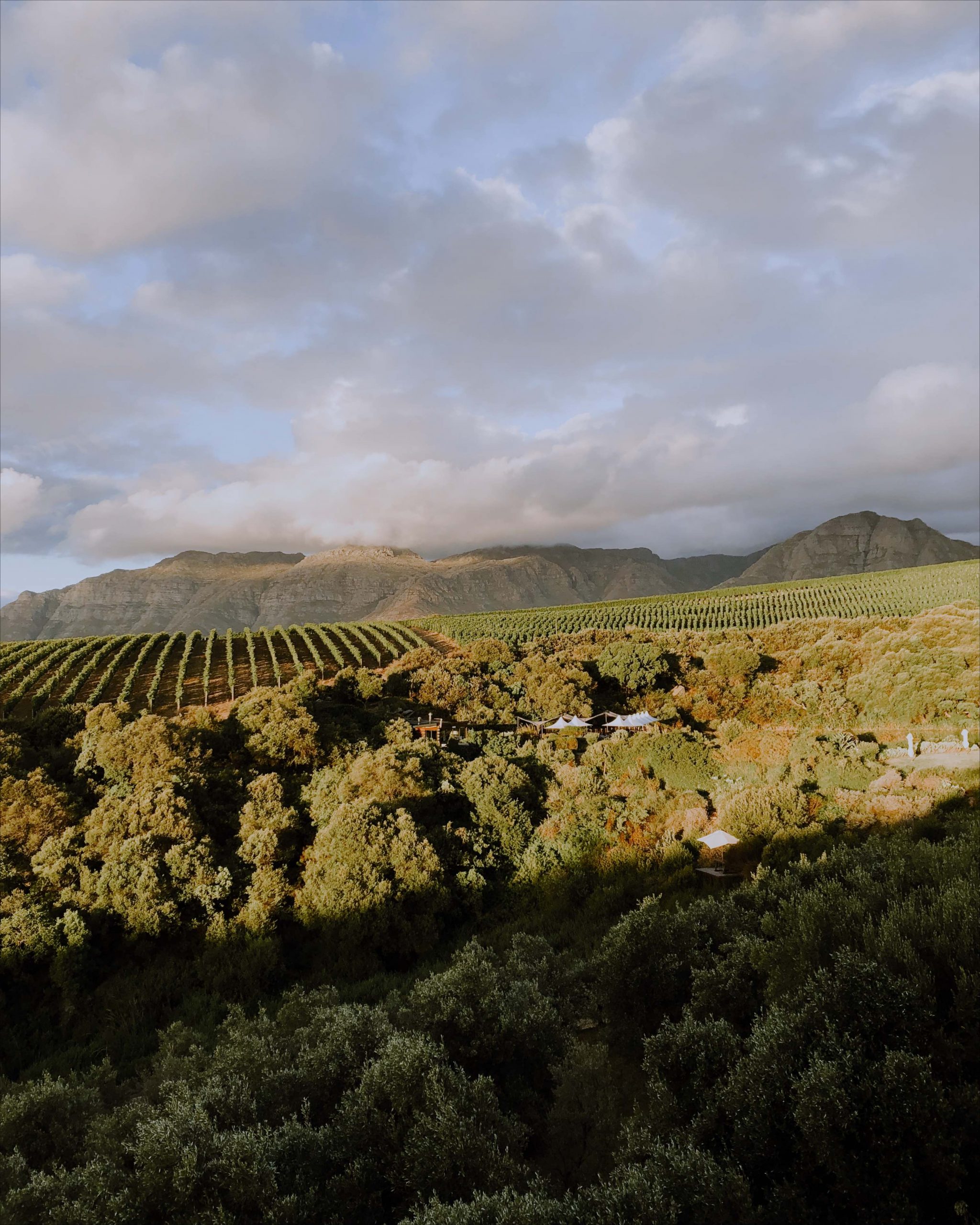 Stellenbosch