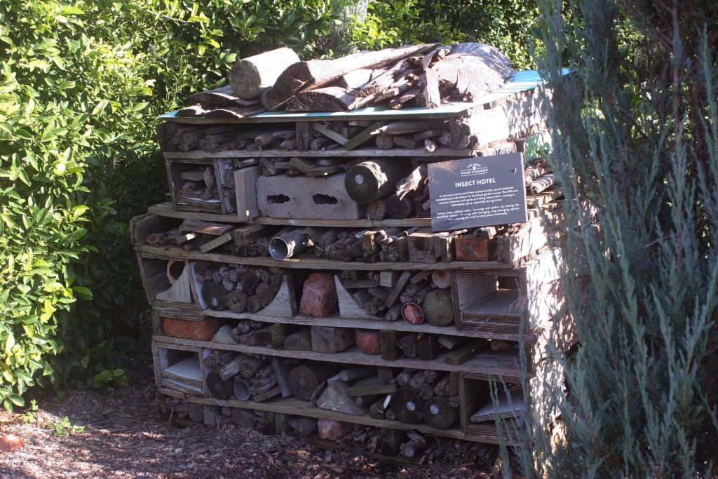 Boschendal Farm Tour